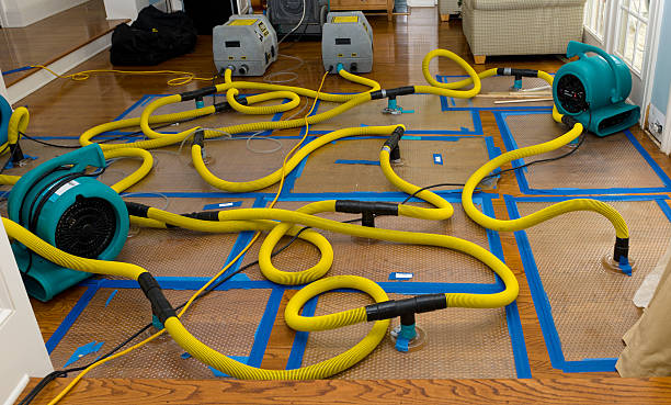 Professional Crawl Space Water Removal technician working in Goodhue, MN